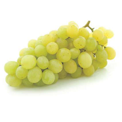 Muda de Uva Niágara Branca - Enxertada